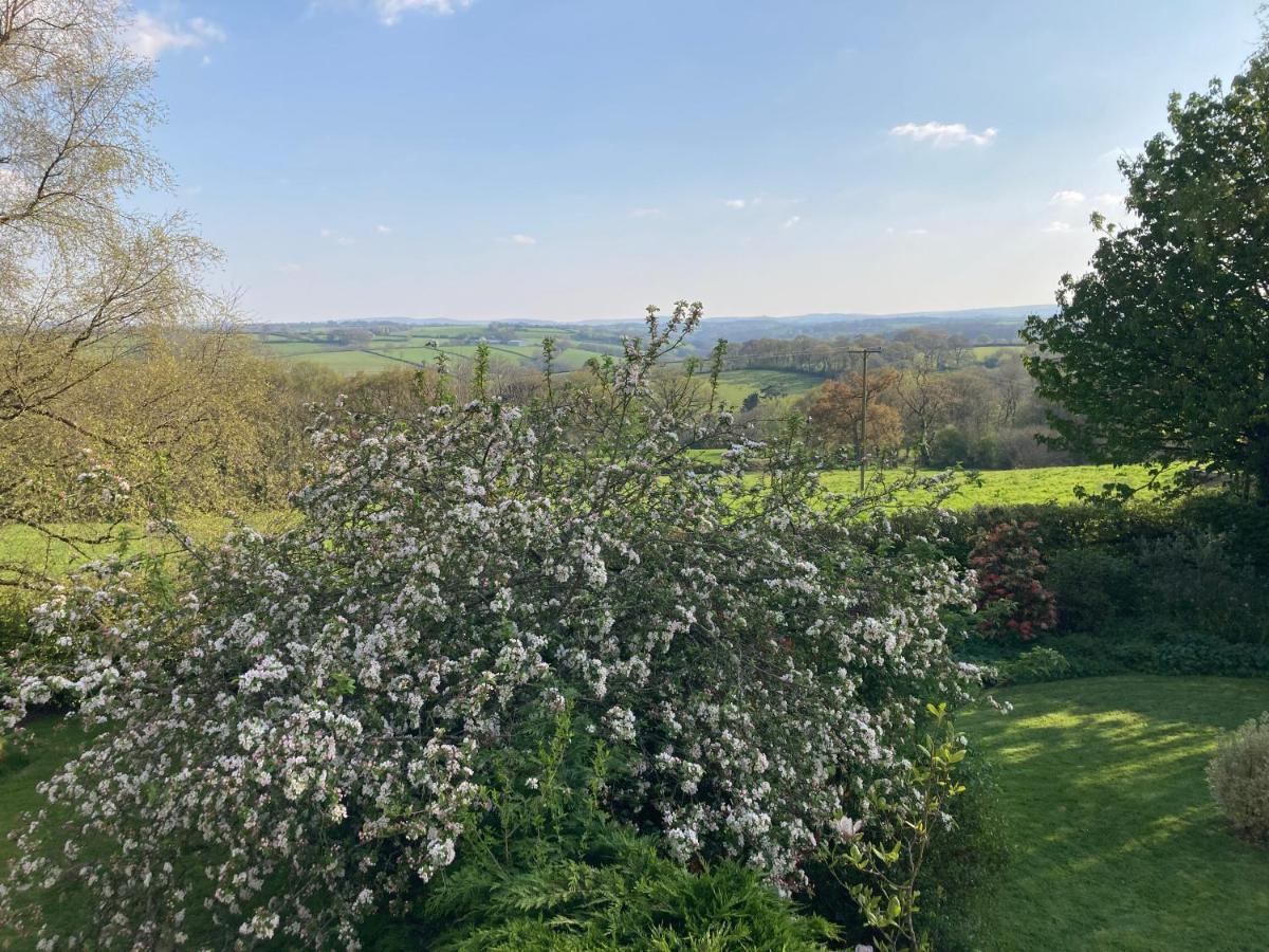 East Hillerton House Guest House Crediton Exterior photo